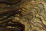 Polished Tiger Iron Stromatolite Slab - Billion Years #351910-1